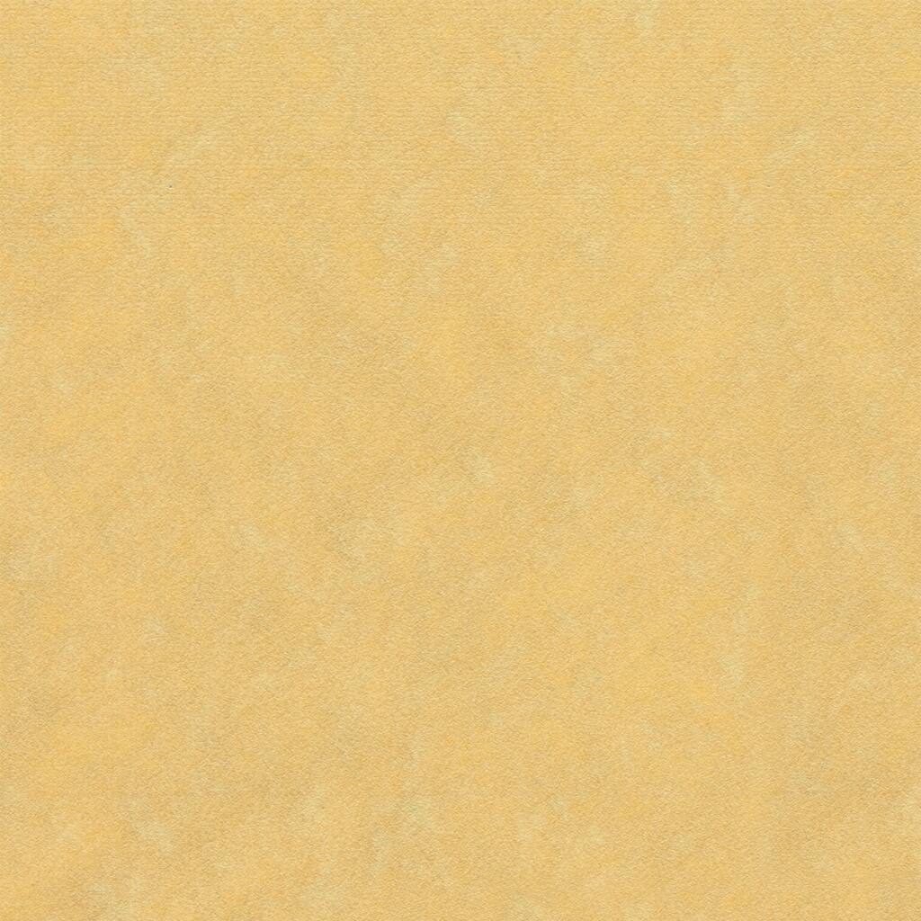 10151237.jpg img